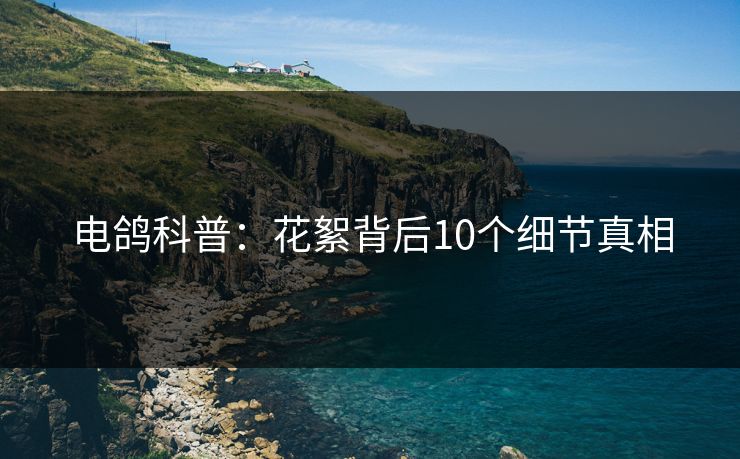 电鸽科普：花絮背后10个细节真相