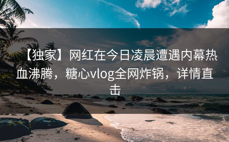 【独家】网红在今日凌晨遭遇内幕热血沸腾，糖心vlog全网炸锅，详情直击