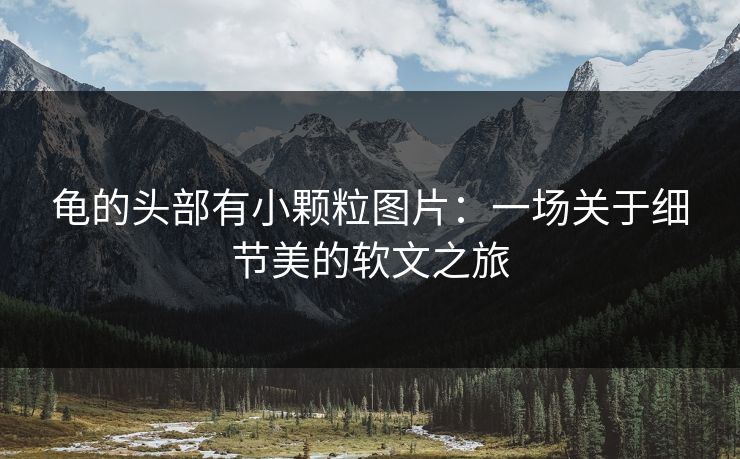 龟的头部有小颗粒图片：一场关于细节美的软文之旅