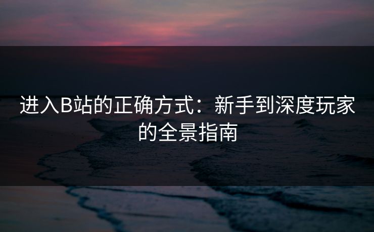 进入B站的正确方式：新手到深度玩家的全景指南
