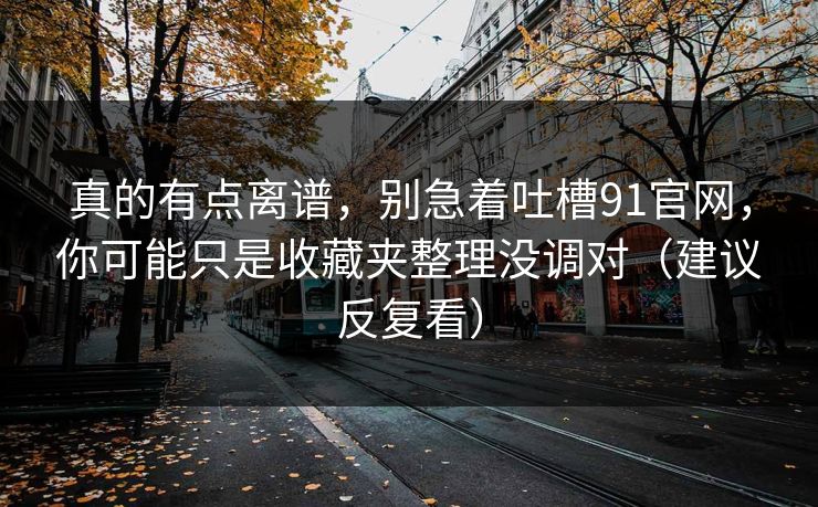 真的有点离谱，别急着吐槽91官网，你可能只是收藏夹整理没调对（建议反复看）